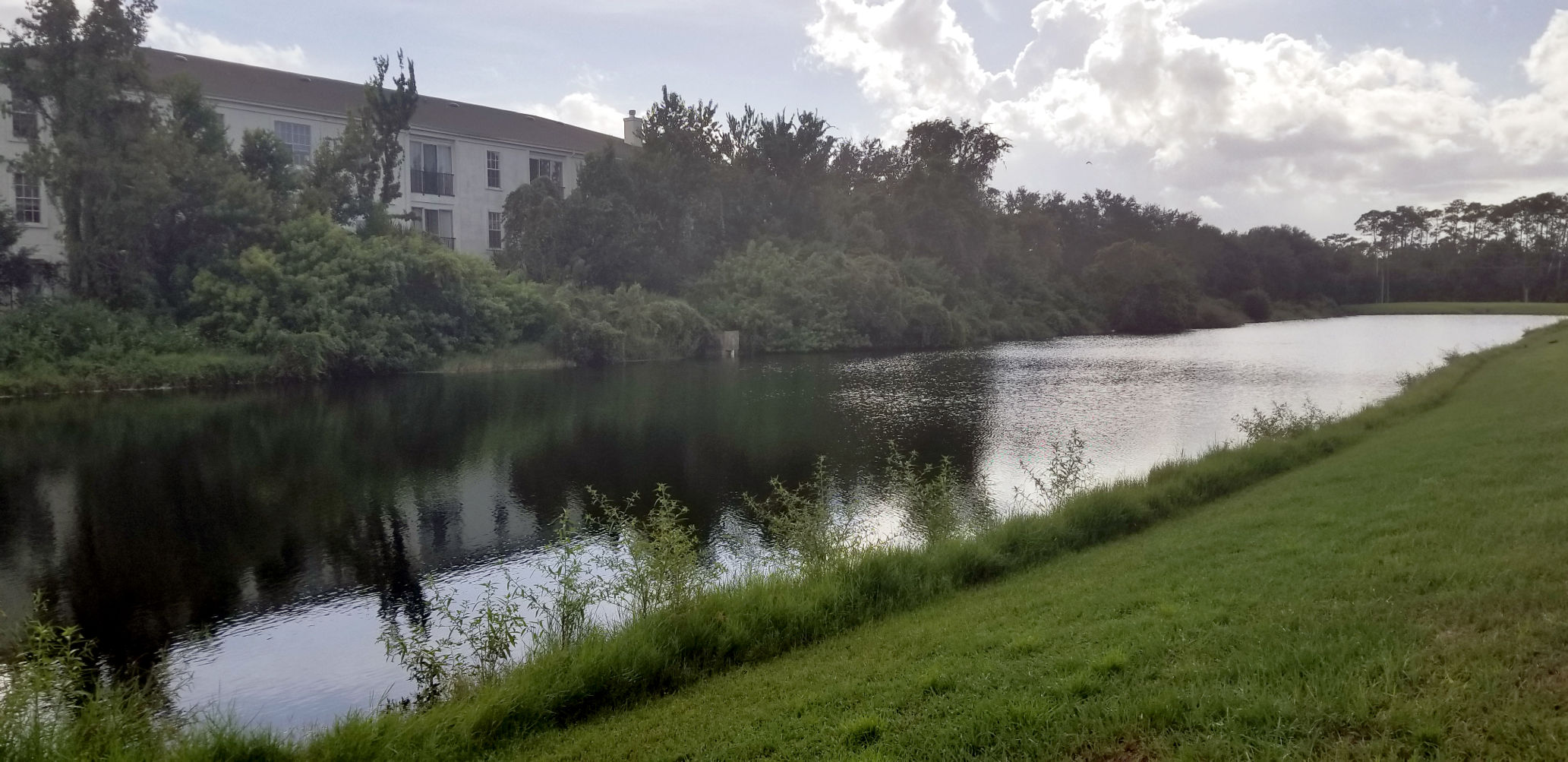 Pond_InTownSuites